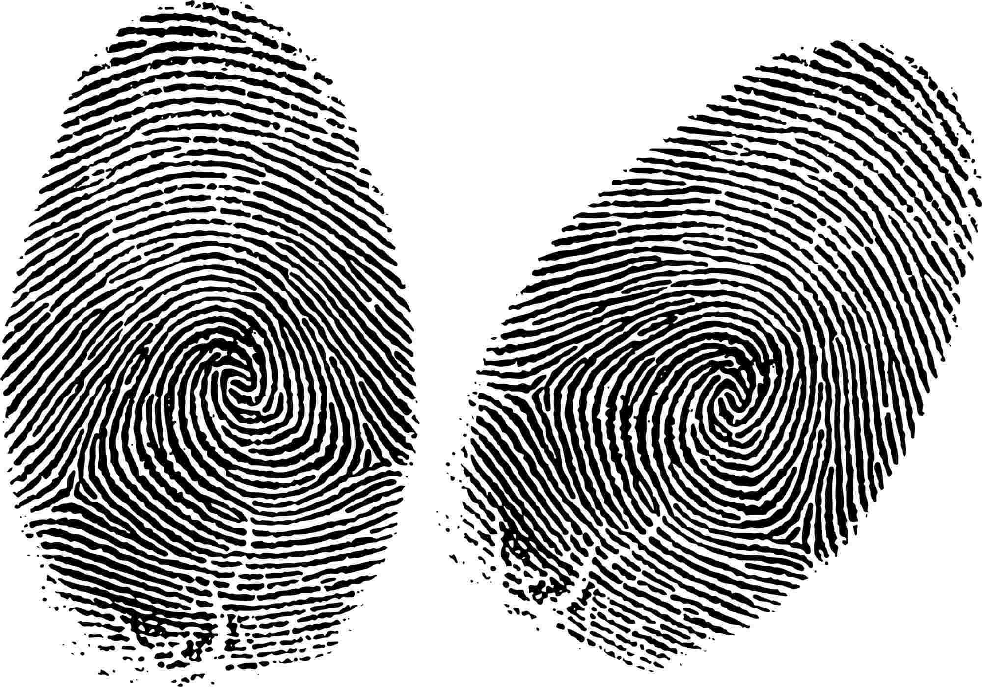 Fingerprint and Tree Rings